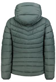 D50092XB44554A2 pine green