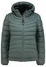 D50092XB44554A2 pine green