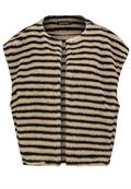 D50108J80137A2 stripes: chocolate brown-light beige