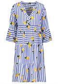 D73771AG30214R fruits: lemon-blue-white