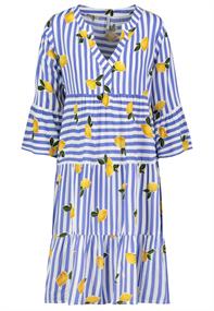 D73771AG30214R fruits: lemon-blue-white