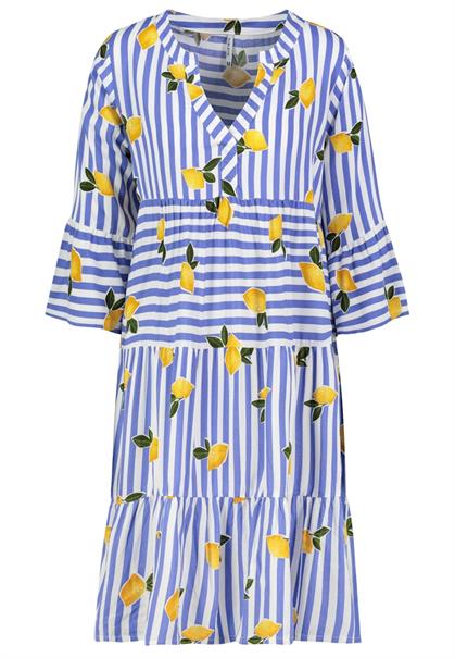 D73771AG30214R fruits: lemon-blue-white