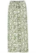 D73771M62237E flowers: hedge green-offwhite