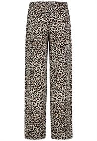 D73771M62489A leo: brown