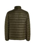 dark olive