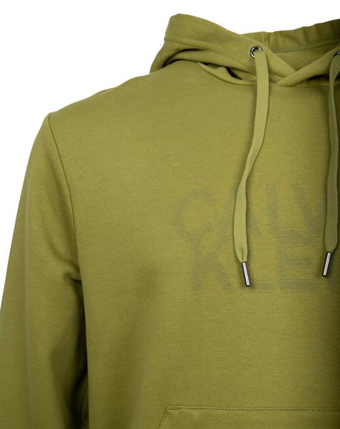 DISTORTED LOGO HOODIE grün