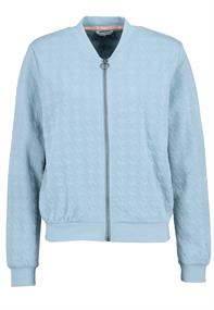 DOB Bomberjacke in jacquard sweat,langarm,Rippbündchen+Stehkragen sky grey blue