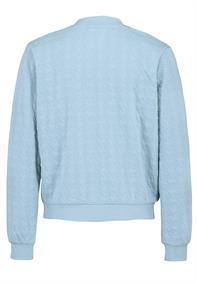 DOB Bomberjacke in jacquard sweat,langarm,Rippbündchen+Stehkragen sky grey blue