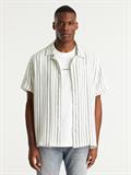 DOBY STRIPE ponderosa pi