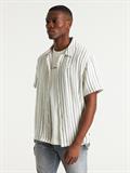 DOBY STRIPE ponderosa pi