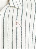 DOBY STRIPE ponderosa pi