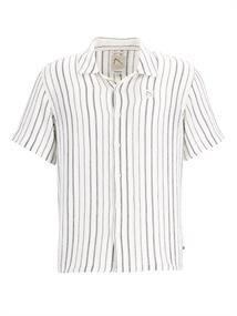 DOBY STRIPE ponderosa pi