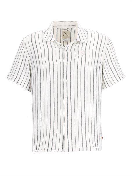 DOBY STRIPE ponderosa pi