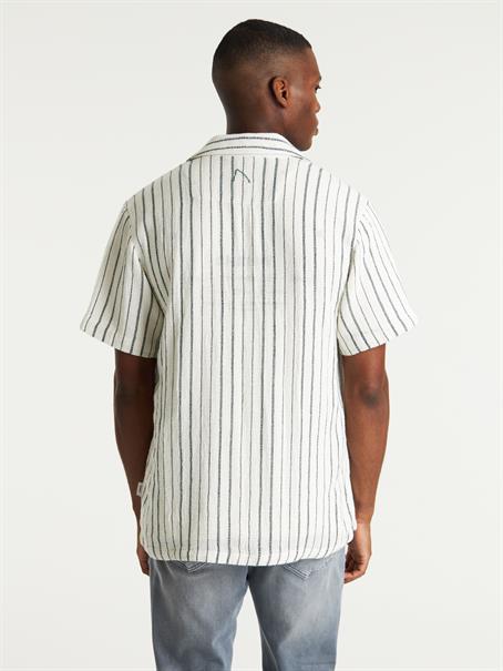 DOBY STRIPE ponderosa pi