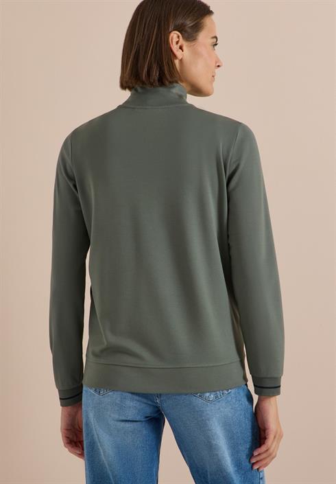 dried-olive-green