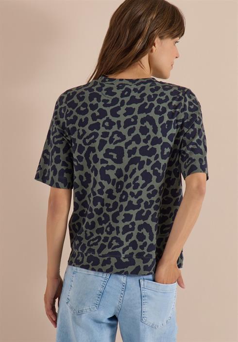 dried-olive-green