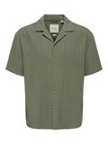 dusty olive