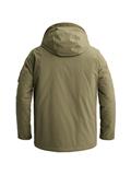 dusty olive