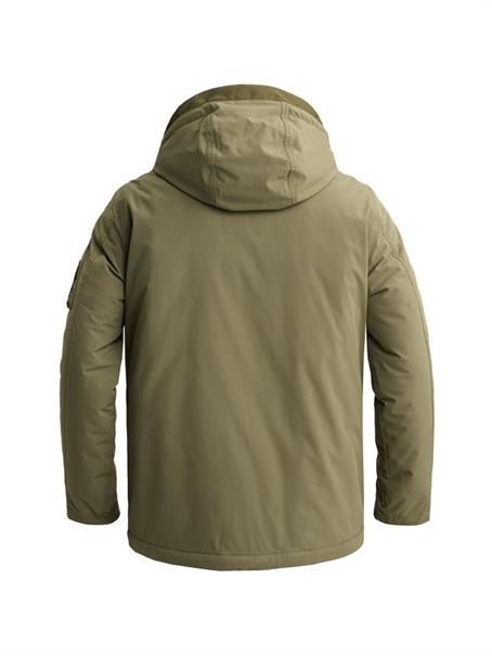 dusty olive