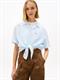 DW0DW22210 light powdery blue - stripe