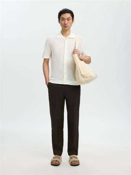 egret