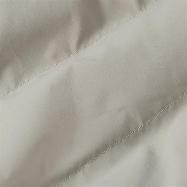 elephant skin
