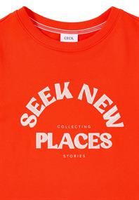 Embroidery Sweatshirt cherry tomato orange