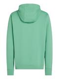 ESSENTIAL TERRY HOODY fort green