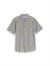 faded leaf green chambray