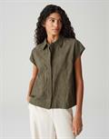 Falme olive leaf
