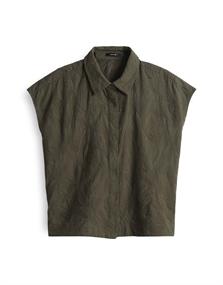 Falme olive leaf