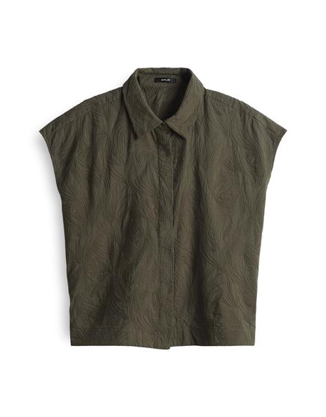 Falme olive leaf