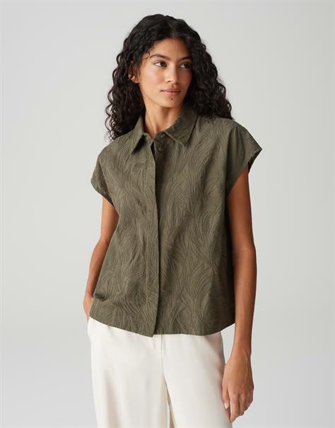 Falme olive leaf