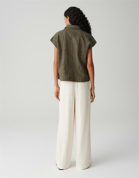 falme-olive-leaf