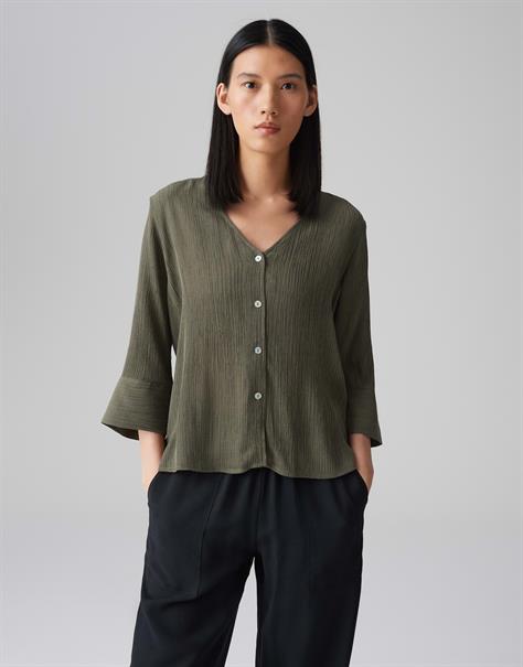 Felsea olive leaf