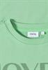 fennel green