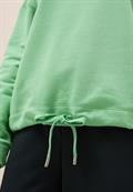 fennel green