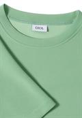 fennel green