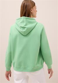 fennel green