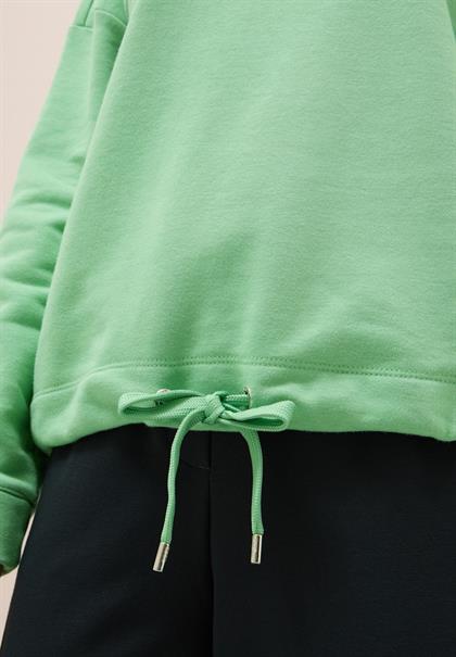 fennel green