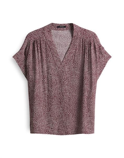 Filva minimal cassis