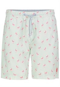 flamingos: skylight mint