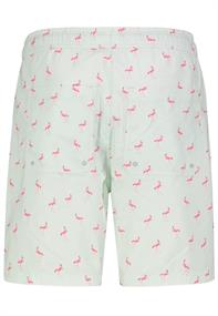 flamingos: skylight mint