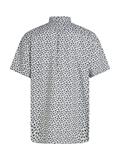 FLEX POPLIN PALM SS SF SHIRT ivory silk allover