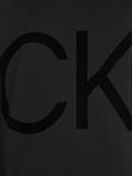 FLOCK LOGO COMFORT HOODIE ck black