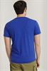 Framed palm originals r t radar blue