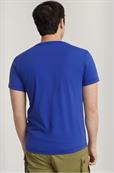 Framed palm originals r t radar blue