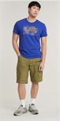 Framed palm originals r t radar blue