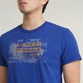 Framed palm originals r t radar blue