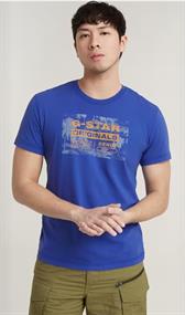 Framed palm originals r t radar blue